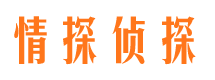 汝阳情探私家侦探公司